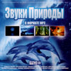 Zvuki prirody v formate MP3 2010