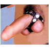 Stallion Belt  with rivets