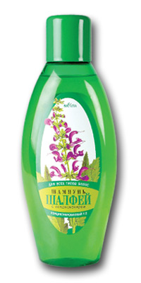 Shampoo - Salbei