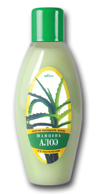 Shampoo - Aloe