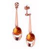 Earrings, amber