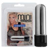 Mini Wireless Vibe silber