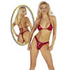 Lack Bikini rot S-L