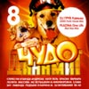 Tchudo Dinamit 8