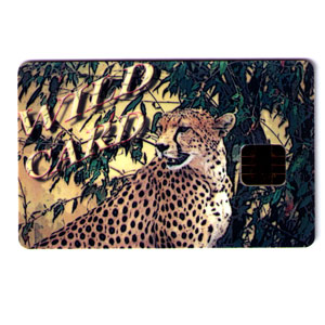 Wildcard Smartcard