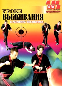 Uroki vyschivanija v uslovijah megapolisa